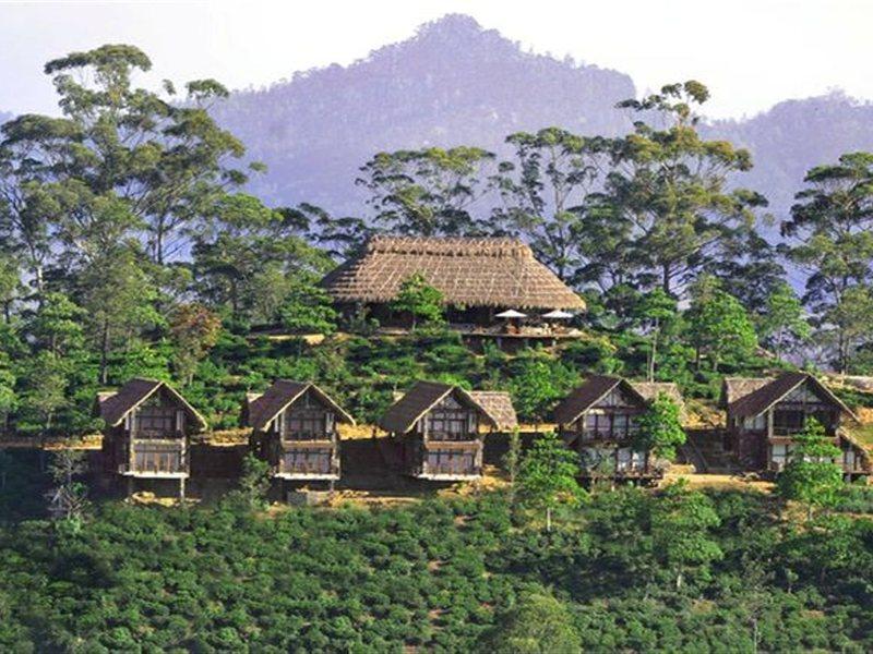 98 Acres Resort & Spa Ella Kültér fotó